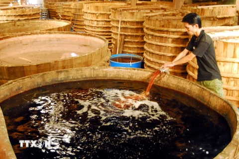 Nghề sản xuất nước mắm truyền thống Phú Quốc khởi sắc trở lại