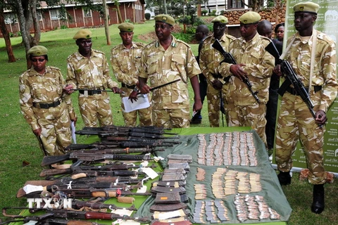 Mỹ kêu gọi Tây Phi hợp tác chống buôn bán ma túy, động vật hoang dã
