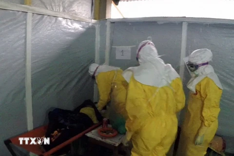 Hà Nội giám sát chặt công tác phòng dịch Ebola và sốt xuất huyết