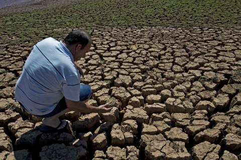 Sản lượng càphê của Brazil sụt giảm mạnh do hạn hán khắc nghiệt
