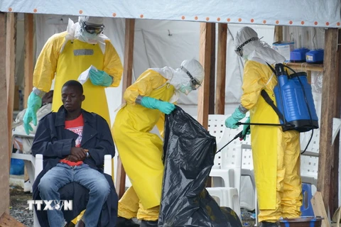 Mỹ cảnh báo nguy cơ hơn 1,4 triệu người bị nhiễm virus Ebola 