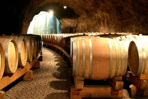 Italy có thể mất vị trí sản xuất rượu vang hàng đầu cho Pháp