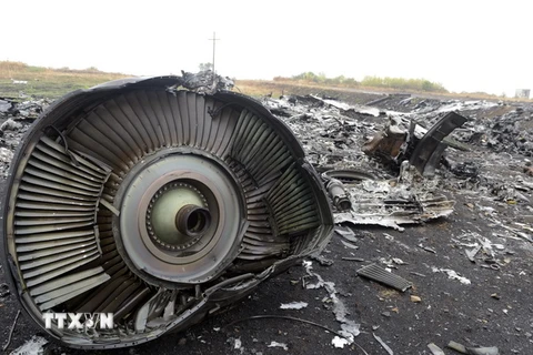 Hoàn tất nhận dạng thi thể 3 công dân Việt trên chuyến bay MH17