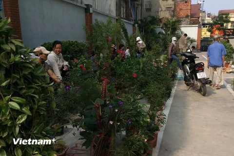 Hà Nội: Chợ Mơ truyền thống nhộn nhịp trước ngày khai trương