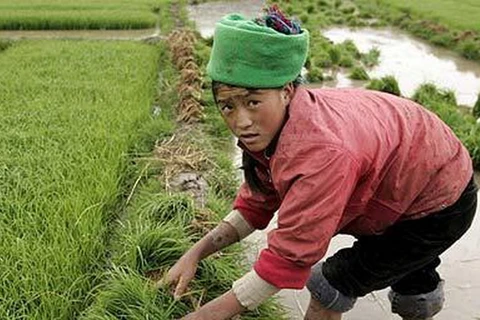 Trung Quốc thí điểm mở rộng quyền sở hữu cho nông dân 