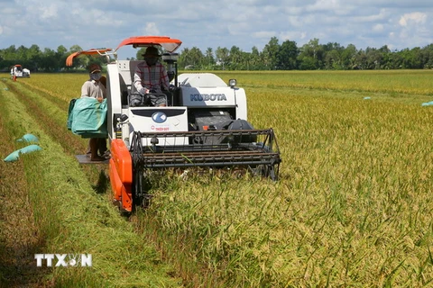 Học giả quốc tế chia sẻ kinh nghiệm phòng chống đói nghèo