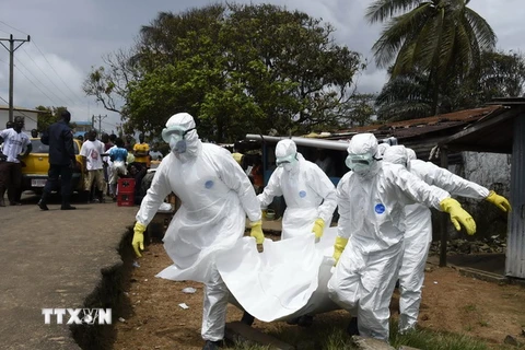 Liên minh châu Âu viện trợ 1 tỷ euro hỗ trợ Tây Phi chống Ebola