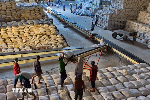 Xuất khẩu gạo chất lượng cao tại các tỉnh ĐBSCL tăng mạnh