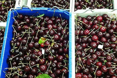 Australia tăng quản lý an toàn sinh học cherry mở rộng xuất khẩu