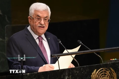 Liên đoàn Arab sẽ trình dự thảo nghị quyết về Palestine lên LHQ