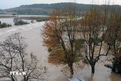 Lũ lụt lớn ở miền Nam nước Pháp khiến ít nhất 5 người chết