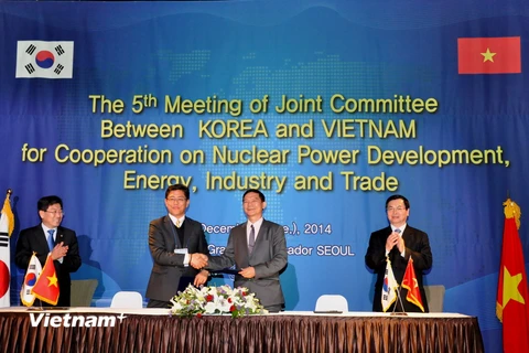 Quan hệ đối tác hợp tác chiến lược Việt-Hàn không ngừng phát triển