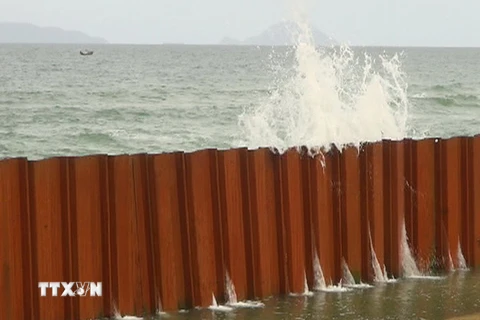 Quảng Nam tìm kiếm các giải pháp chống sạt lở bờ biển Cửa Đại 