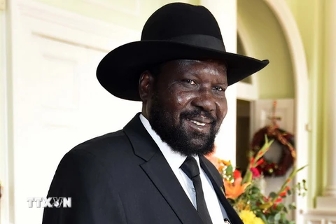 Nam Sudan sẽ tổ chức cuộc tổng tuyển cử vào giữa năm 2015