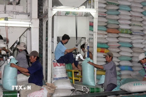 Chính phủ mua tạm trữ 1 triệu tấn gạo ở Đồng bằng sông Cửu Long