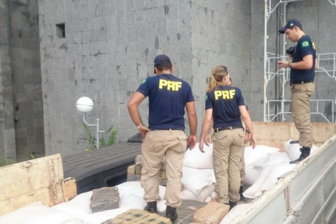 Cảnh sát Brazil thu 5 tấn cần sa và hóa chất điều chế cocaine