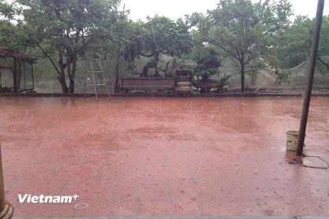 Miền Bắc đón không khí lạnh, Hà Nội tiếp tục có mưa phùn