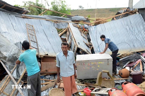Ấn Độ: Bão lớn làm 30 người chết và hơn 100 người bị thương