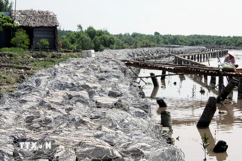 Cà Mau chi 20 tỷ đồng nâng cấp 2 cửa biển Sông Đốc và Khánh Hội