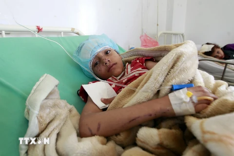 Saudi Arabia cấp 265 triệu USD cho hoạt động nhân đạo ở Yemen 