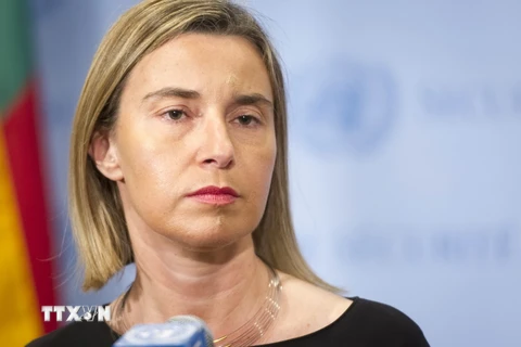 Đại diện đối ngoại EU tới Israel thảo luận về tình hình Gaza