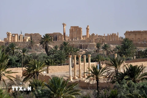 Thành phố cổ Palmyra của Syria ngày 18/5 sau một vụ đánh bom do IS tiến hành. (Nguồn:AFP/TTXVN)