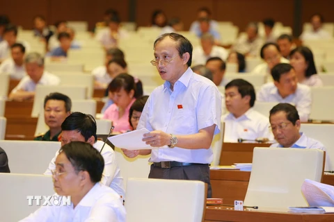 Đại biểu Quốc hội tỉnh Thừa Thiên-Huế Hà Huy Thông phát biểu ý kiến. (Ảnh: Doãn Tấn/TTXVN)