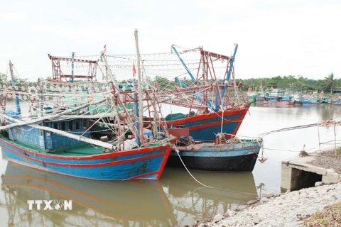 Tàu thuyền neo đậu tránh bão tại âu cảng Mắt Rồng, xã Lập Lễ, huyện Thủy Nguyên, Hải Phòng. (Ảnh: Lâm Khánh/TTXVN)