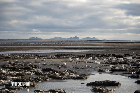 Nước lụt do tan băng trên sông Markarflj, phía tây Eyjafjallajokull của Island. (Nguồn: AFP/TTXVN)
