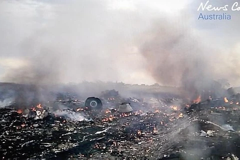 Hiện trường kinh hoàng của vụ máy bay MH17 bị bắn rơi trên đất Ukraine (Nguồn: Daily Telepgraph)