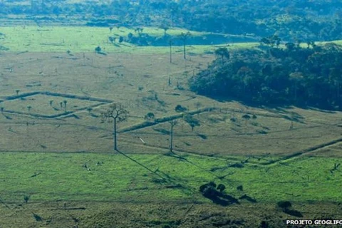 Brazil sử dụng máy bay không người lái để bảo vệ rừng Amazon