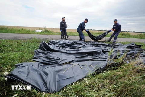 Lực lượng cứu hộ chuyển thi thể các nạn nhân máy bay MH17 sau sự cố tại Grabove, miền đông Ukraine ngày 18/7/2014. (Nguồn: AFP/TTXVN)