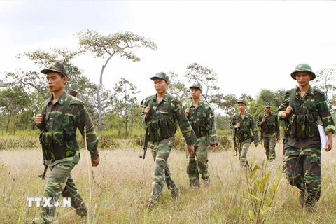Các chiến sỹ trinh sát Đồn Biên phòng Ea H'leo (745), Đắk Lắk tuần tra khu vực vành đai biên giới. (Ảnh: Dương Giang/TTXVN)