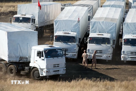 Đoàn xe chở hàng viện trợ nhân đạo ở điểm kiểm soát Donetsk tại khu vực biên giới tháng 8/2014. (Nguồn: AFP/TTXVN)