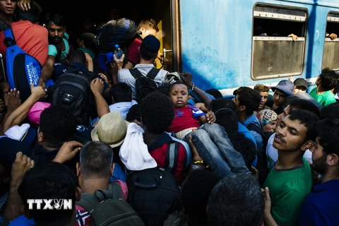 Người di cư chen lấn lên tàu hỏa tại nhà ga Gevgelija ở biên giới Macedonia-Hy Lạp ngày 9/8. (Nguồn: AFP/TTXVN)