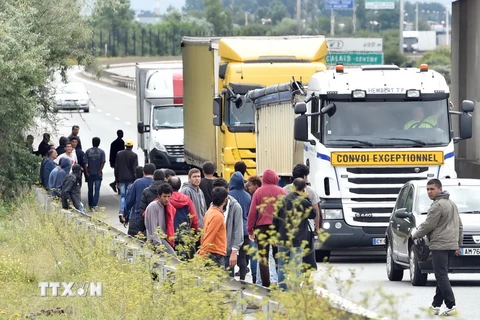 Người di cư tiếp cận các xe tải tới cảng Calais của Pháp ngày 5/8. (Nguồn: AFP/TTXVN)