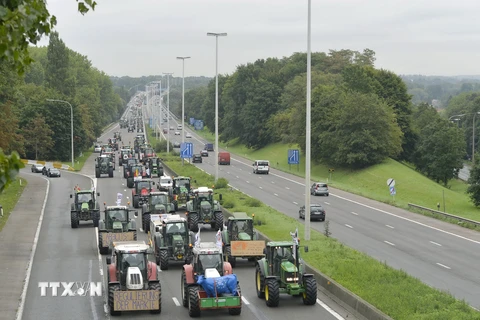Nông dân châu Âu biểu tình bằng máy kéo phản đối giá lương thực giảm mạnh. (Nguồn: AFP/TTXVN