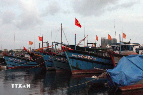 Neo đậu tàu thuyền tránh bão tại Âu thuyền Thọ Quang, Đà Nẵng. (Ảnh: Trần Lê Lâm/TTXVN)