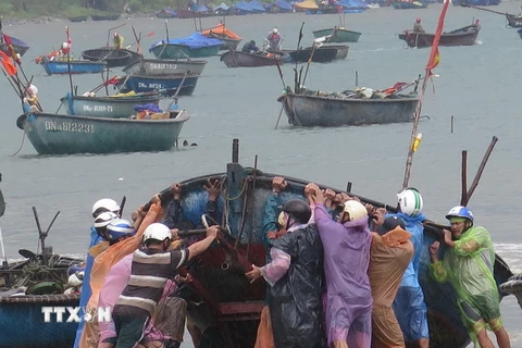 Ngư dân đưa thuyền lên bờ tránh bão số 3. (Ảnh: Văn Sơn/TTXVN)