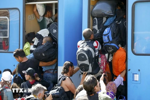 Người di cư chen lên tàu tại nhà ga ở Beli Manastir, Croatia ngày 18/9. (Nguồn: Reuters/TTXVN