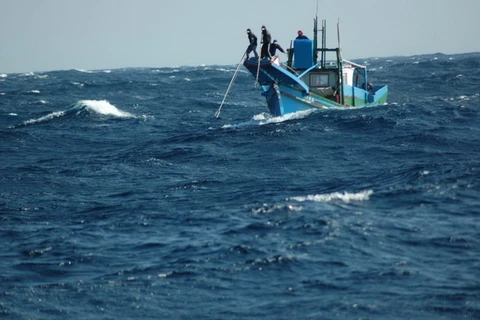 Khó xác định nguyên nhân 3 thuyền viên mất tích ở biển Nhật Bản