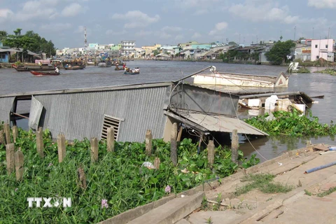 Bờ sông Cần Thơ đoạn qua ấp Nhơn Lộc 1, thị trấn Phong Điền, bị sạt lở dài kéo theo 4 căn nhà đổ xuống sông. (Ảnh: Trần Khánh Linh/TTXVN)