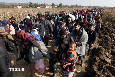 Người di cư di chuyển tới trại tị nạn ở Rigonce,Slovenia, gần biên giới với Croatia ngày 26/10. (Nguồn: AFP/TTXVN)