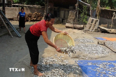 Cuộc sống của người dân tái định cư thủy điện Sơn La ở xã Mường Giàng, huyện Quỳnh Nhai, tỉnh Sơn La. (Ảnh: Công Luật/TTXVN) 