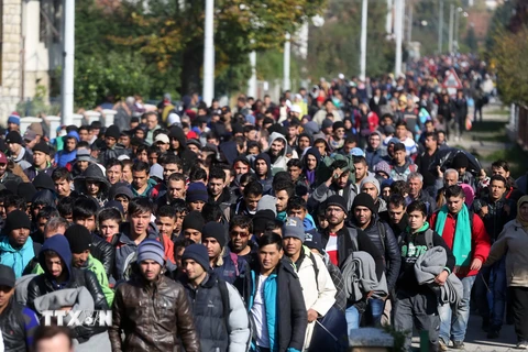  Khoảng 2.000 người di cư tới thị trấn Kljuc Brdovecki, biên giới Croatia-Slovenia bằng tàu hỏa ngày 24/10. (Nguồn: AFP/TTXVN)