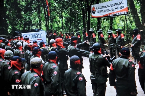 Colombia: Nhóm ELN trả tự do cho 2 sỹ quan quân đội chính phủ