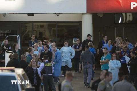 Nhân viên y tế cấp cứu các nạn nhân sau vụ xả súng ở San Bernardino ngày 2/12. (Nguồn: THX/TTXVN)