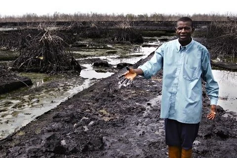 Hậu quả ô nhiễm môi trường do Sell gây ra tại khu vực châu thổ sông Niger. (Nguồn: theguardian.com)