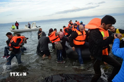 Người di cư tới đảo Lesbos của Hy Lạp sau hành trình vượt biển Aegean từ Thổ Nhĩ Kỳ ngày 24/11. (Nguồn: AFP/TTXVN)