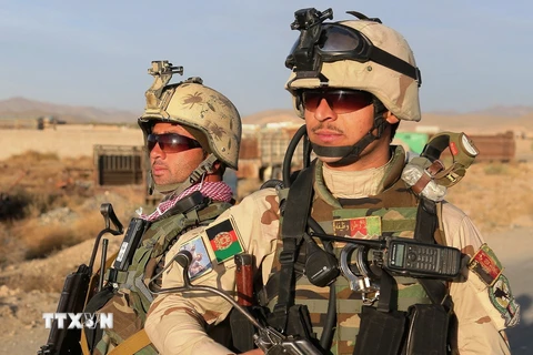 Binh sỹ Afghanistan tham gia chiến dịch truy quét khủng bố tại tỉnh miền đông Ghazni. (Nguồn: THX/TTXVN)